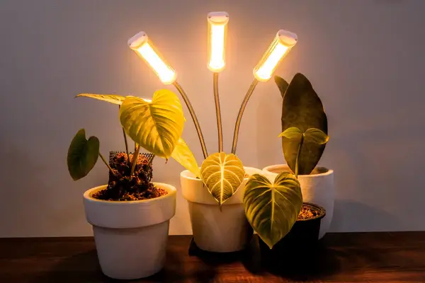 LED Grow Light for Indoor Plants